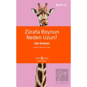 Zürafa Boynun Neden Uzun?
