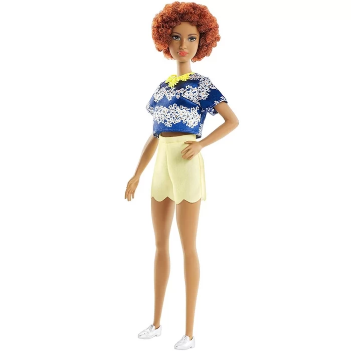 Barbie Fashionista Bebek ve Kıyafetleri FRY80
