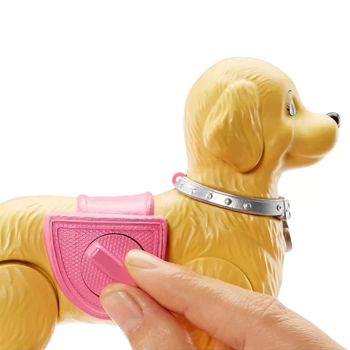 Barbie ve Tuvalet Eğitimindeki Köpeği Oyun Seti
