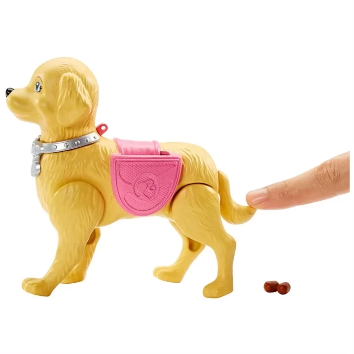Barbie ve Tuvalet Eğitimindeki Köpeği Oyun Seti