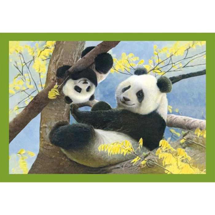 Clementoni Baby Cuddles Puzzle 4 in 1 21532