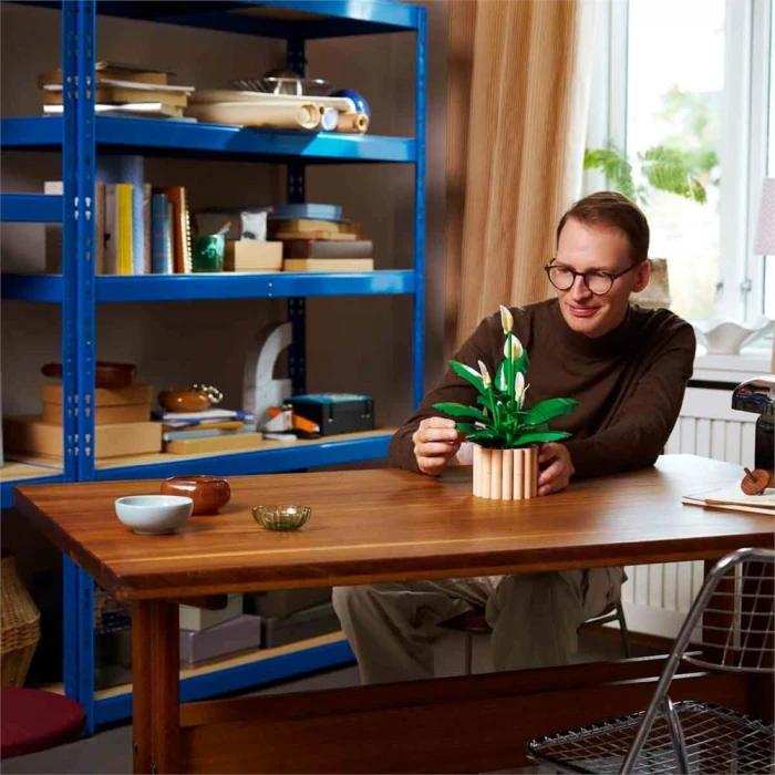 LEGO Botanicals Barış Çiçeği 11504