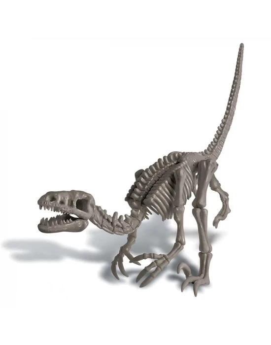4M Velociraptor Arkeolojik Kazı Seti