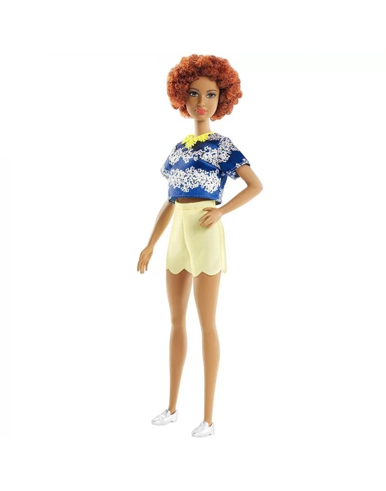 Barbie Fashionista Bebek ve Kıyafetleri FRY80