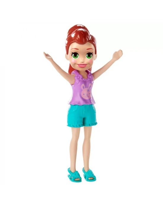 Polly Pocket ve Arkadaşları FWY25