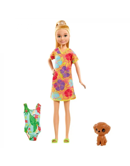 Barbie ve Chelsea  Kayıp Doğum Günü Bebek ve Aksesuarlar Serisi G
