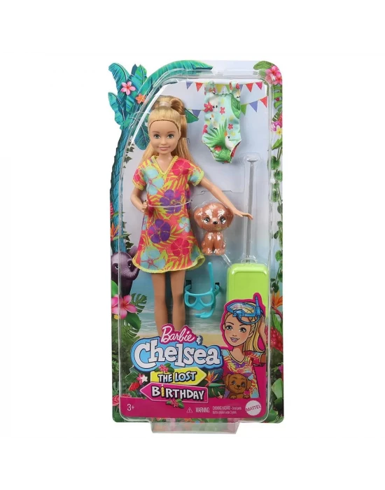 Barbie ve Chelsea  Kayıp Doğum Günü Bebek ve Aksesuarlar Serisi G