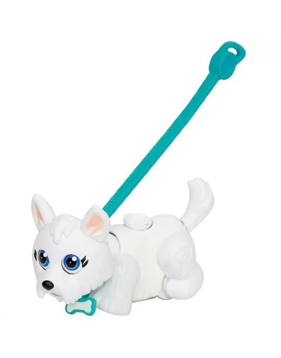 Pet Club Parade Köpek ve Taşıma Çantası