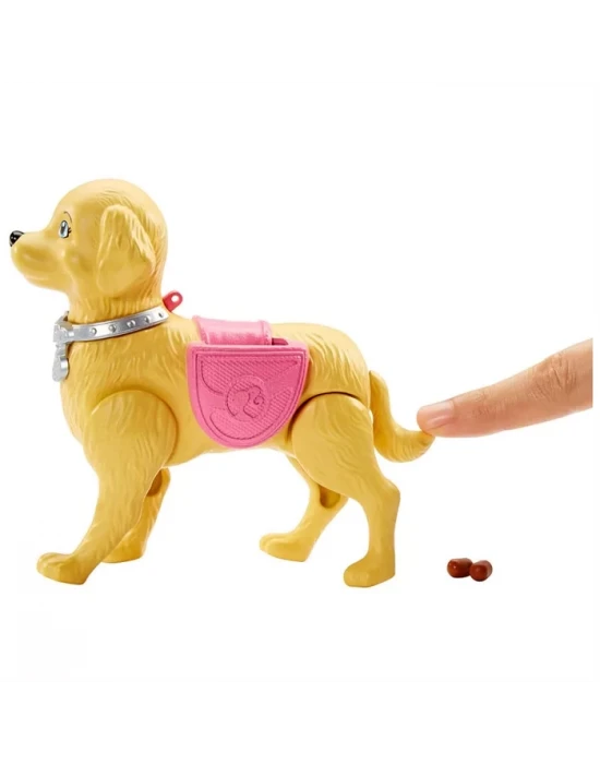 Barbie ve Tuvalet Eğitimindeki Köpeği Oyun Seti