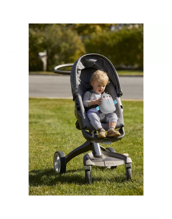 Fisher-Price Sevimli Mors Uyku Arkadaşım