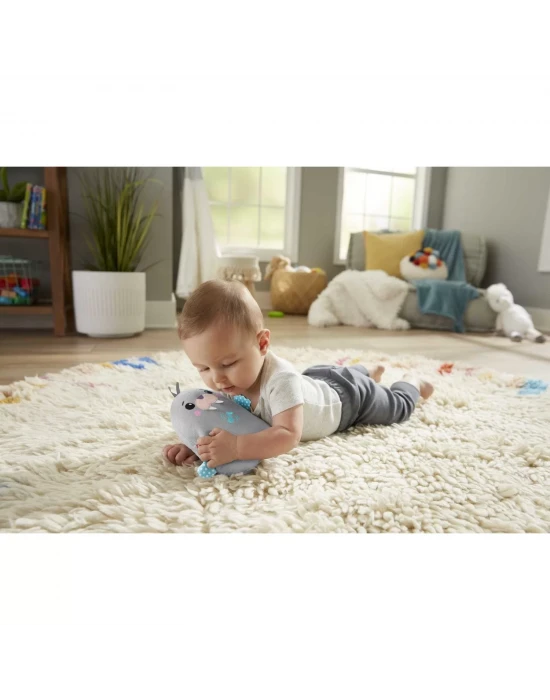 Fisher-Price Sevimli Mors Uyku Arkadaşım