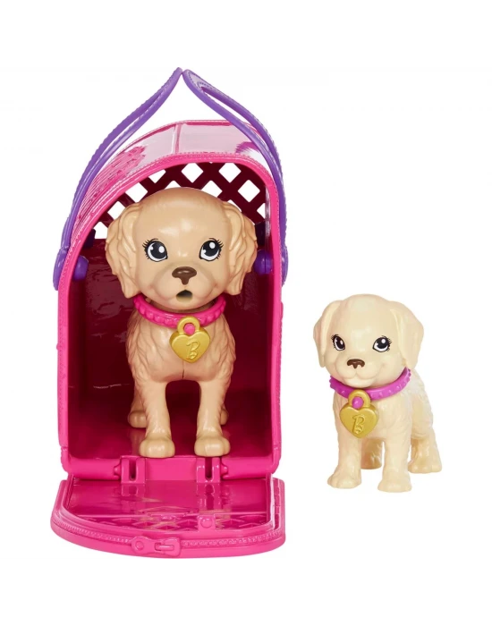 Barbie ve Köpekçikleri Oyun Seti