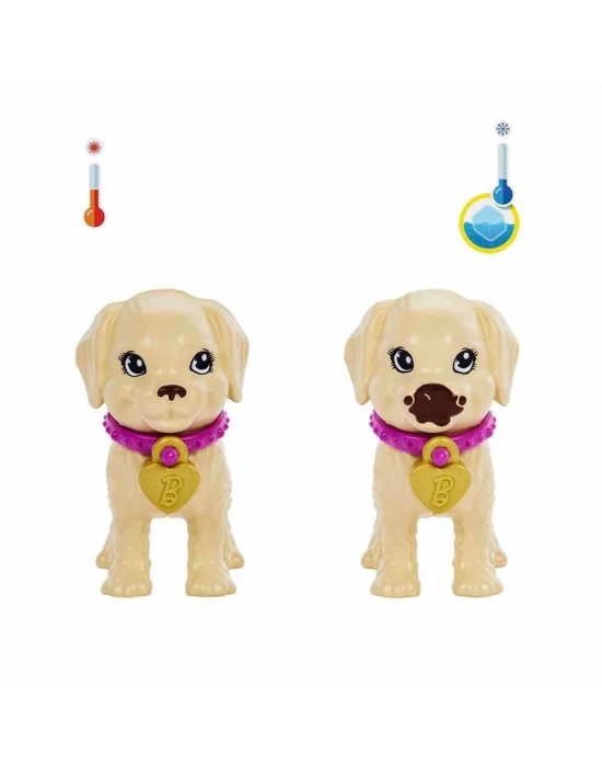 Barbie ve Köpekçikleri Oyun Seti HKD86