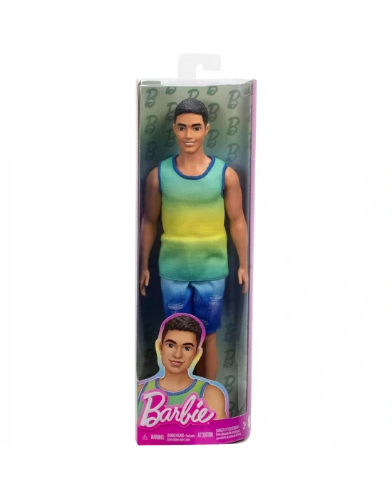 Barbie Yakışıklı Ken Bebekler HYV00