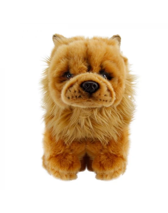 Chow Chow (Çin Aslanı) 28 cm