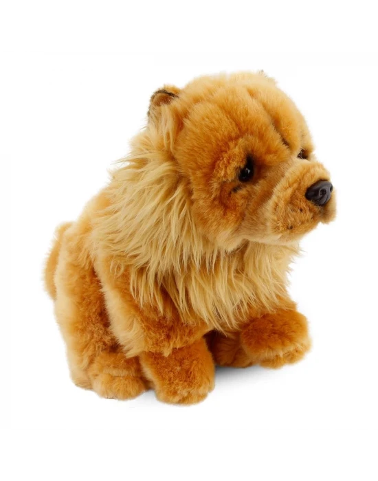 Chow Chow (Çin Aslanı) 28 cm