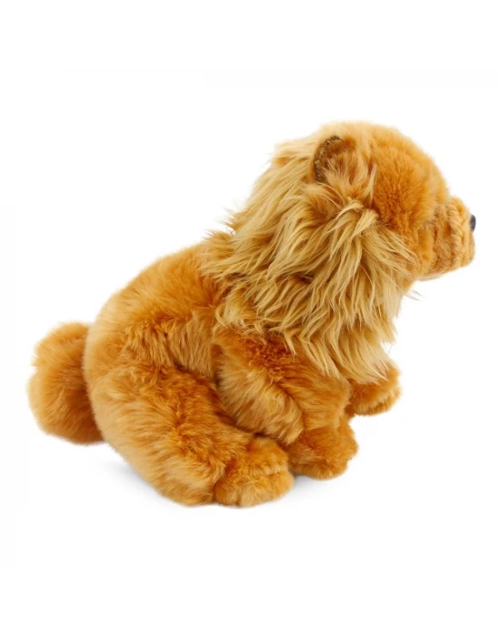 Chow Chow (Çin Aslanı) 28 cm