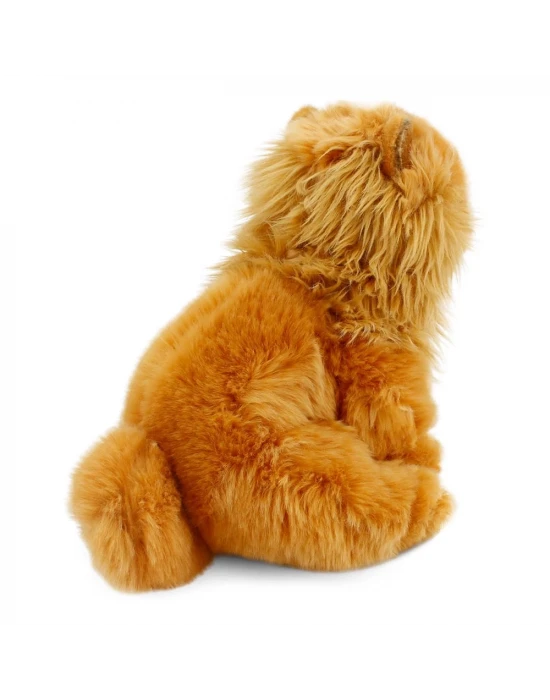 Chow Chow (Çin Aslanı) 28 cm