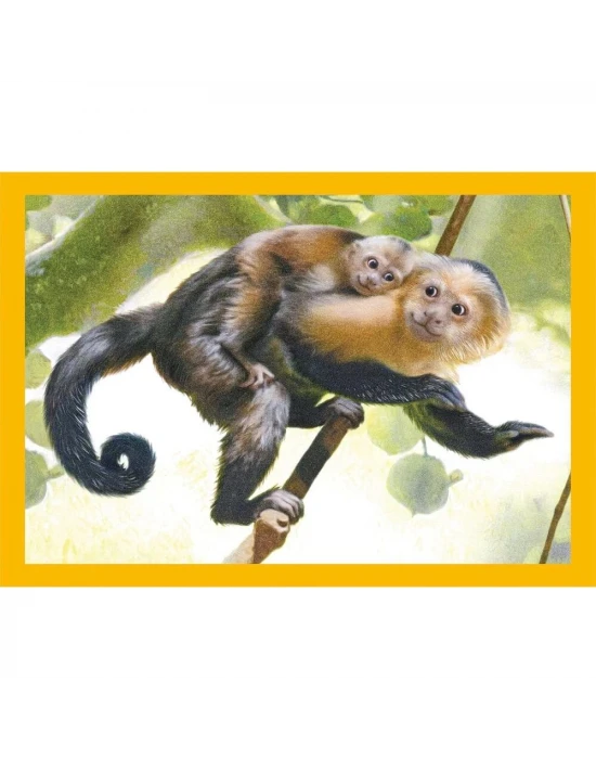 Clementoni Baby Cuddles Puzzle 4 in 1 21532
