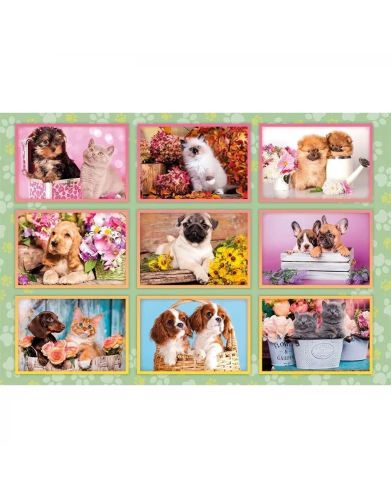 Clementoni Puppies Collage Puzzle 180 Parça 29788