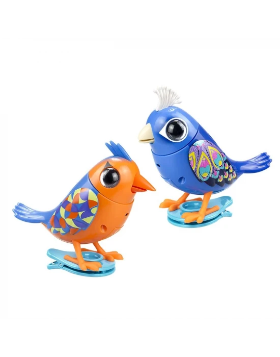 Digibirds İkili Paket Seri 1