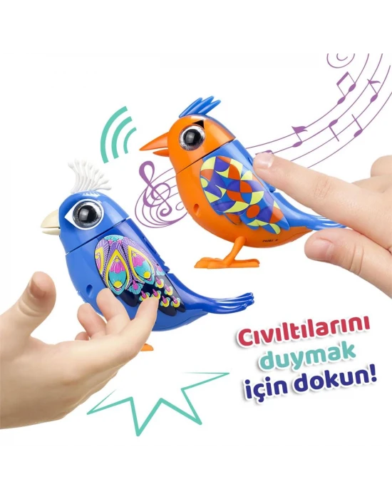 Digibirds İkili Paket Seri 1
