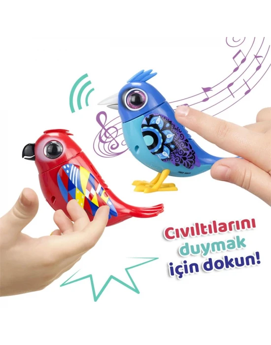 Digibirds İkili Paket Seri 2