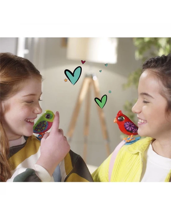 Digibirds İkili Paket Seri 2
