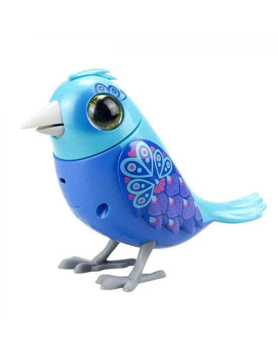 Digibirds Tekli Paket Seri 1 - Model 1