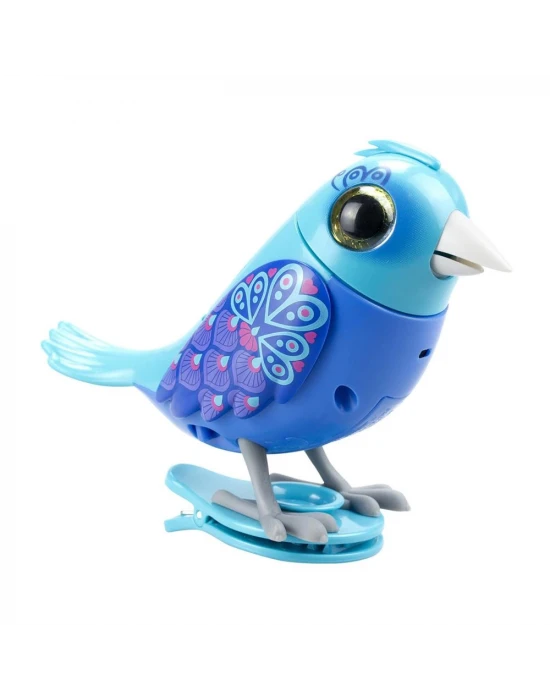 Digibirds Tekli Paket Seri 1 - Model 1