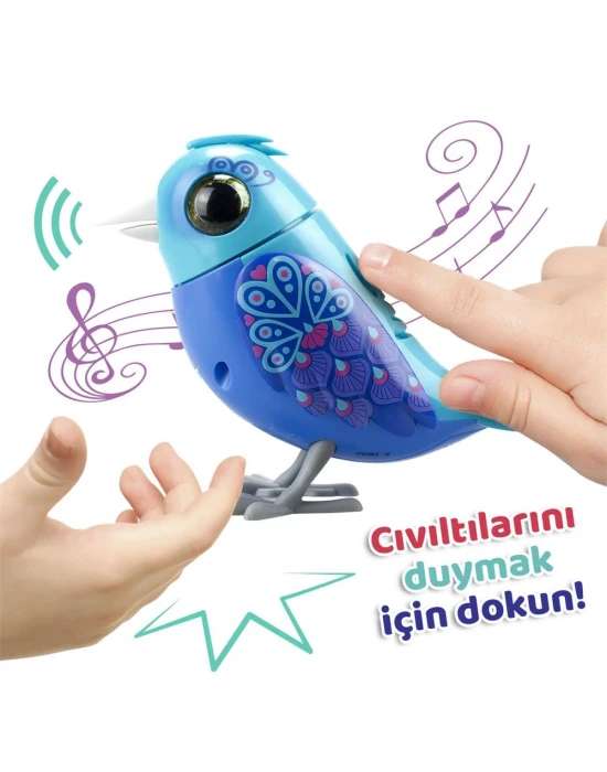 Digibirds Tekli Paket Seri 1 - Model 1