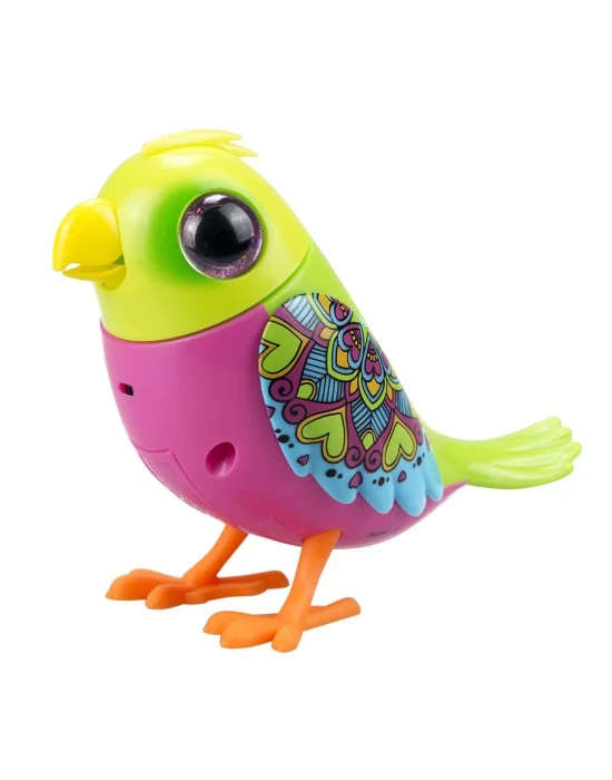 Digibirds Tekli Paket Seri 1 - Model 3