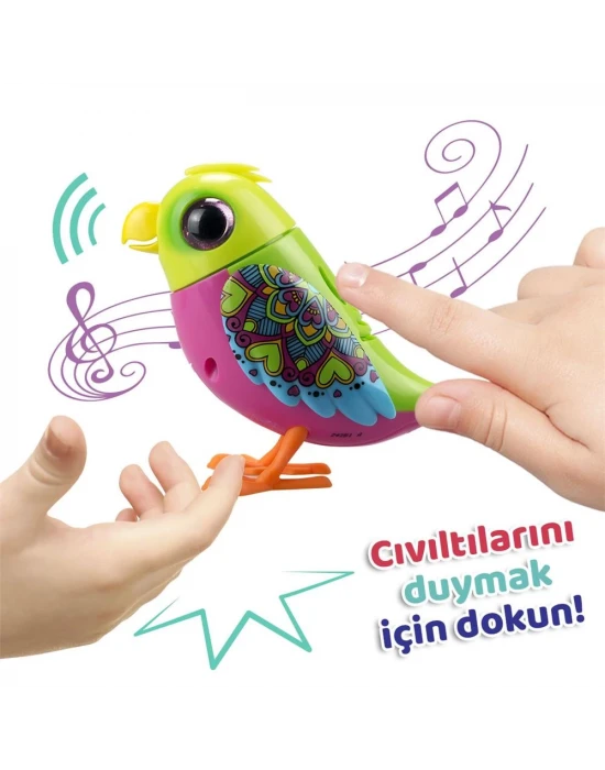 Digibirds Tekli Paket Seri 1 - Model 3