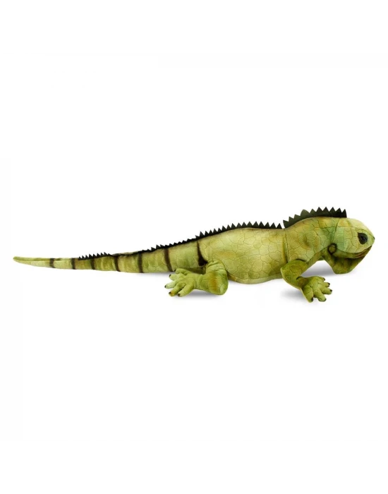 İguana 66 cm