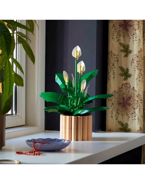 LEGO Botanicals Barış Çiçeği 11504