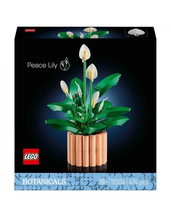 LEGO Botanicals Barış Çiçeği 11504