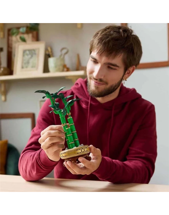 LEGO Botanicals Şans Bambusu 10344