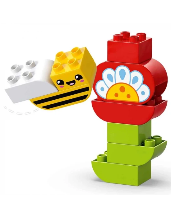 LEGO DUPLO Yaratıcı Bahçe ve Çiçekler 10444