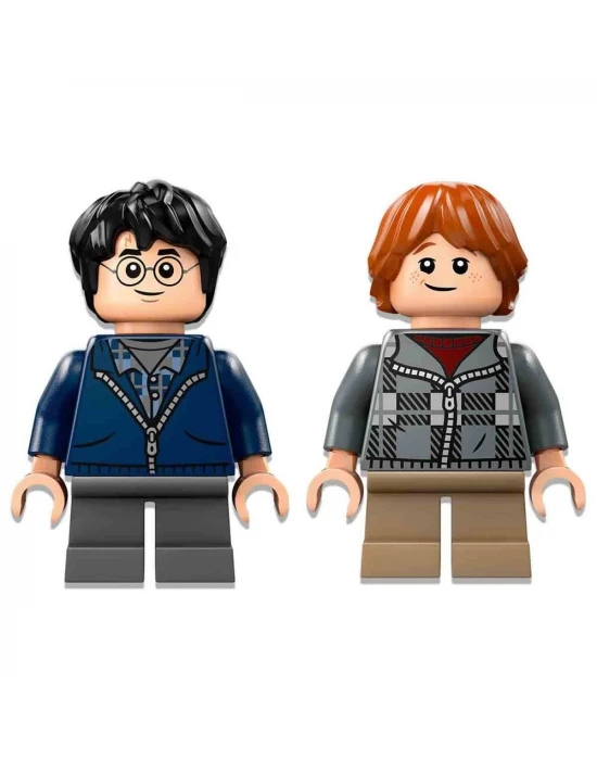 LEGO Harry Potter Aragog Yasak Ormanda 76434