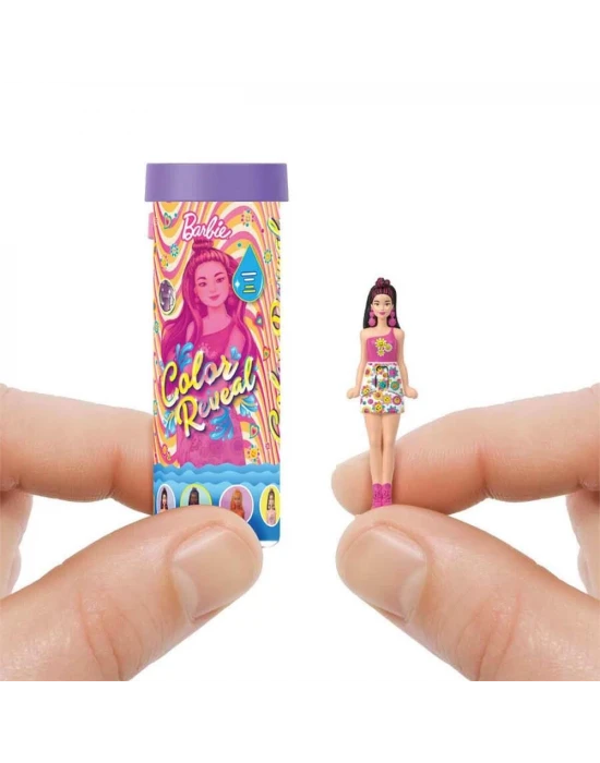 Mini BarbieLand Color Reveal Bebek Sürpriz Paket JCR08
