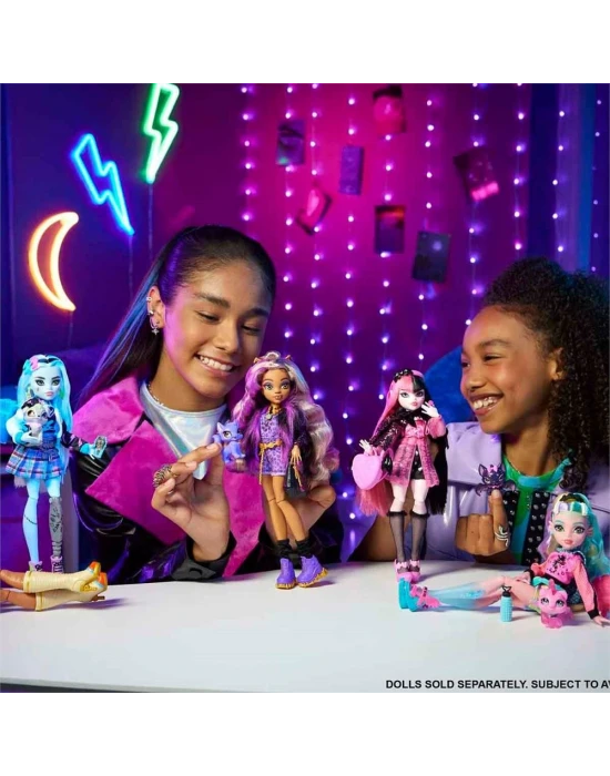 Monster High Ana Karakter Bebekler HRP65 - Clawdeen Wolf