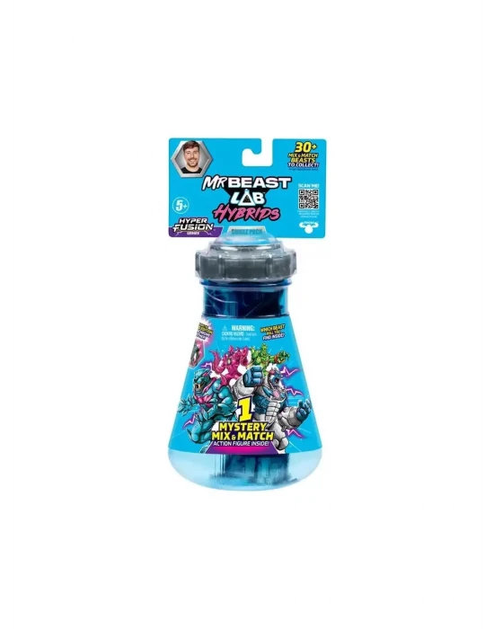 Mrbeast Paket CDU8-24901