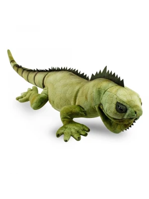 İguana 66 cm