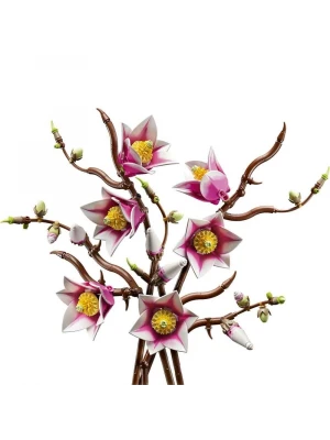 LEGO Botanicals Manolya Dalları 11510