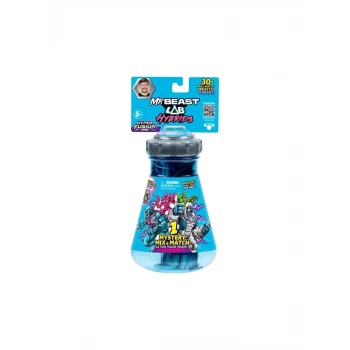 Mrbeast Paket CDU8-24901