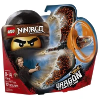 Lego Ninjago Cole Dragon Master 70645