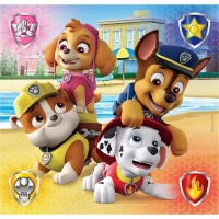 Clementoni Paw Patrol Puzzle 3x48 Parça 25301