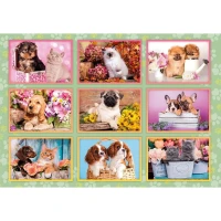 Clementoni Puppies Collage Puzzle 180 Parça 29788