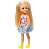 Barbie Chelsea Ve Arkadaşları Aksesuarlı Bebek FRL80