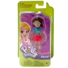 Polly Pocket ve Arkadaşları FWY24